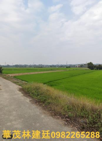 白河農地拍賣-2