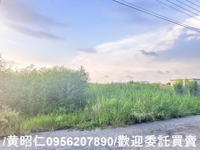 台南農地-7