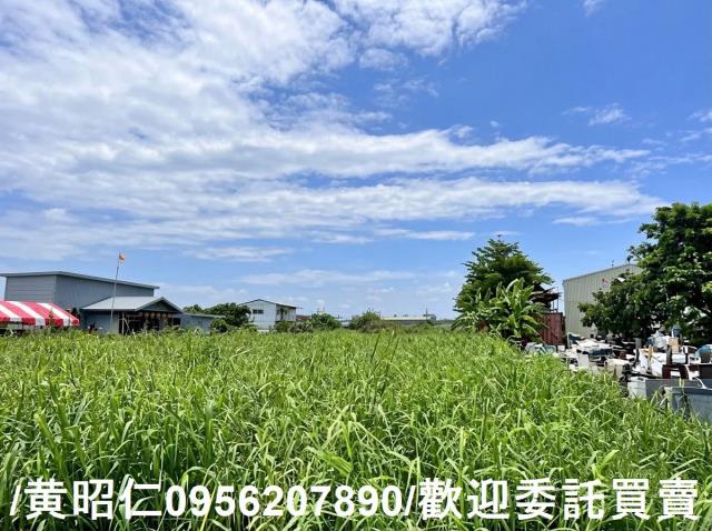 台南農地-3