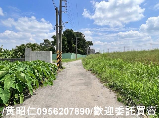 台南農地-4