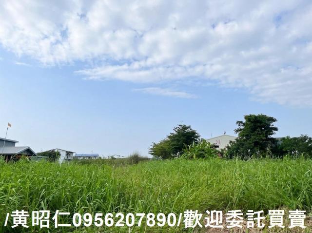 台南農地-5