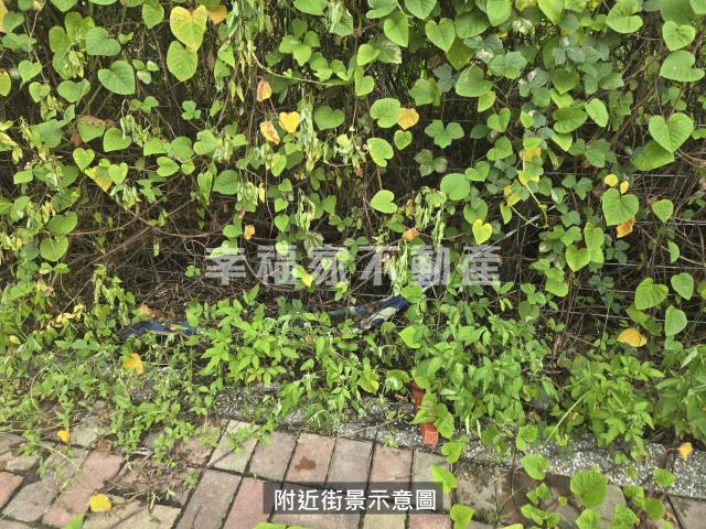 台南麻豆工業地-3