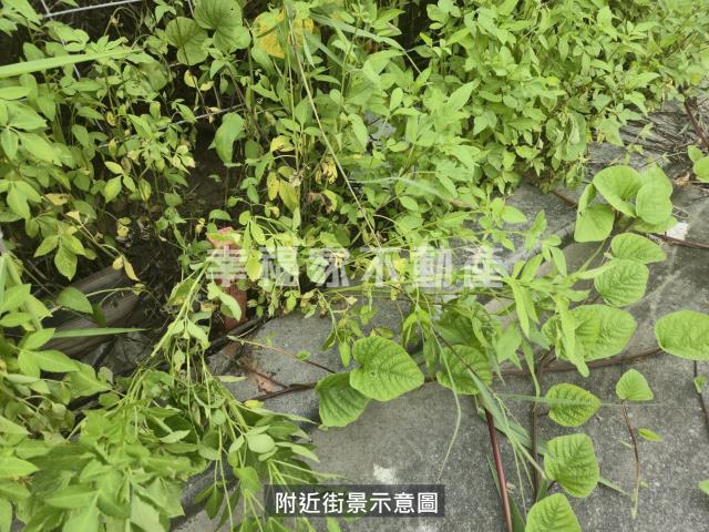 台南麻豆工業地-4