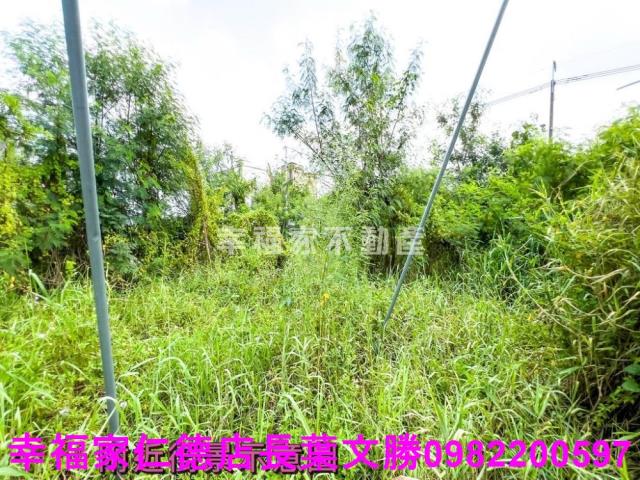 台南麻豆工業地-12
