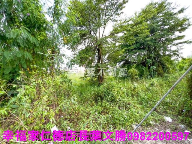 台南麻豆工業地-5