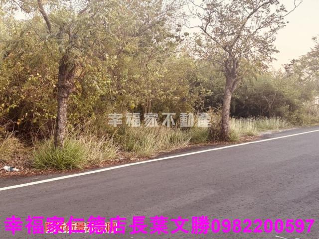 台南新營工業地-2