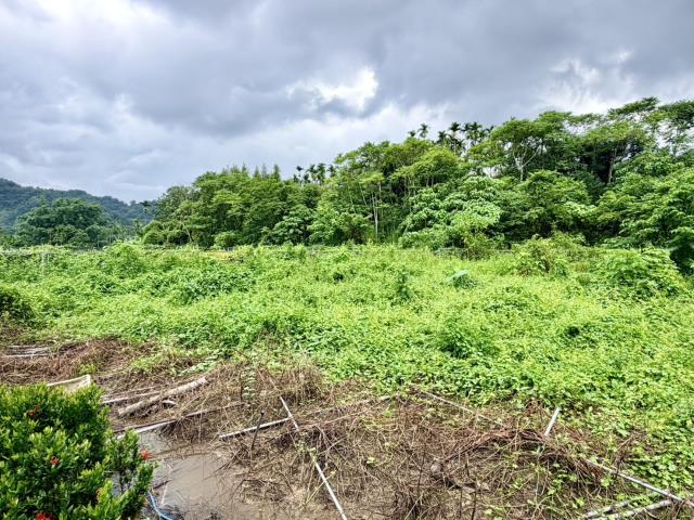 名間農地-3