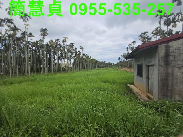 草屯農地-1