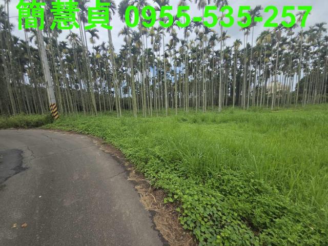 草屯農地-3
