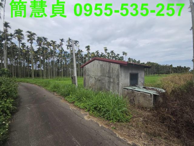 草屯農地-4