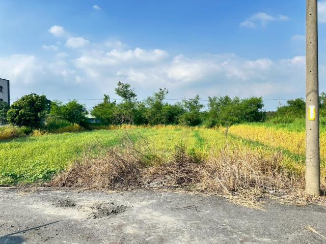 水林農地-3