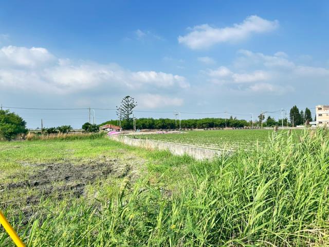 水林農地-5