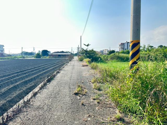 水林農地-6