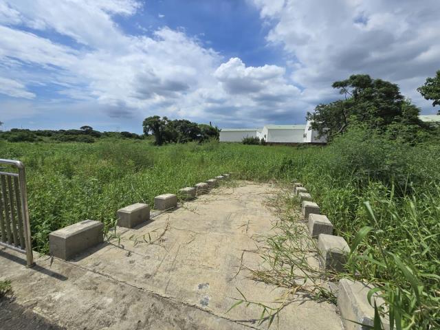 大園航空城都計內農地