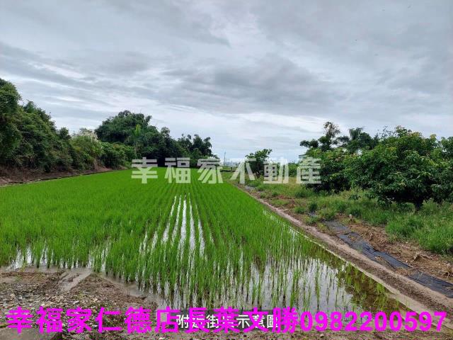 後壁農地-10
