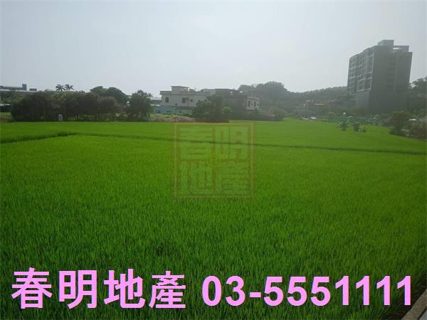 竹北農地-1