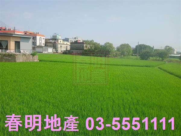 竹北農地-6