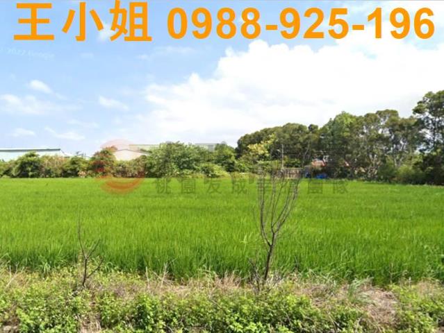 楊梅農地-11