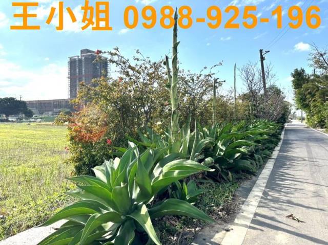 楊梅農地-5