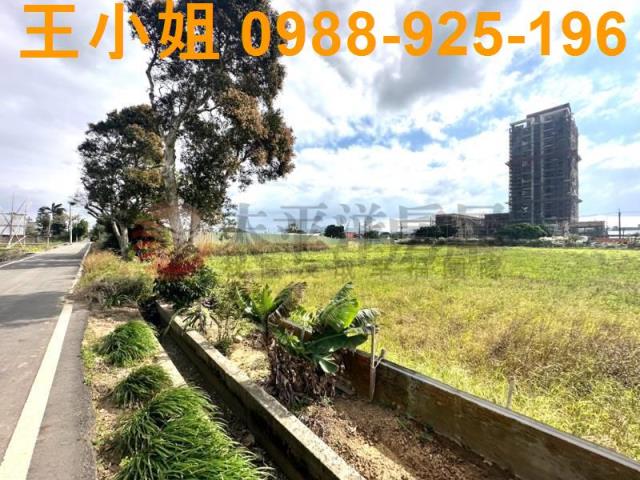 楊梅農地-6