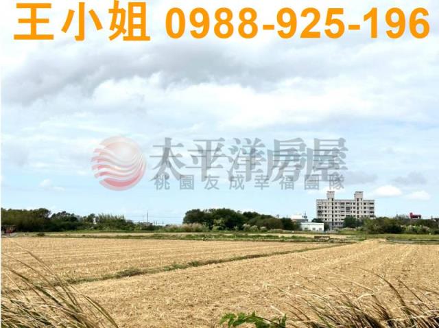 楊梅農地-7