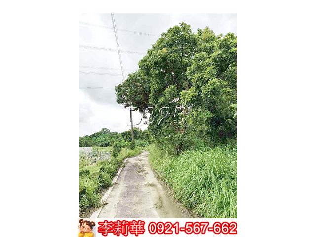 大內農地-3