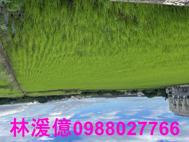 專任G13都內美田