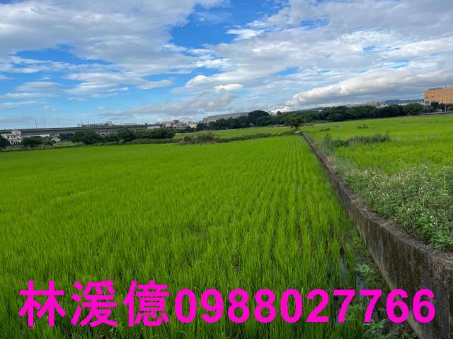 桃園農地-2