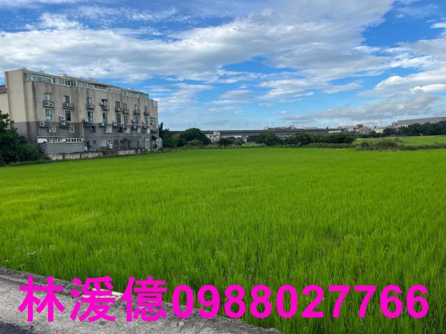 桃園農地-3