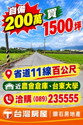 市農516獨家專任近台東市大馬路三角窗方正土地每分170萬