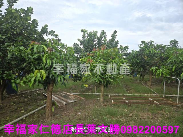 台南麻豆農地-8