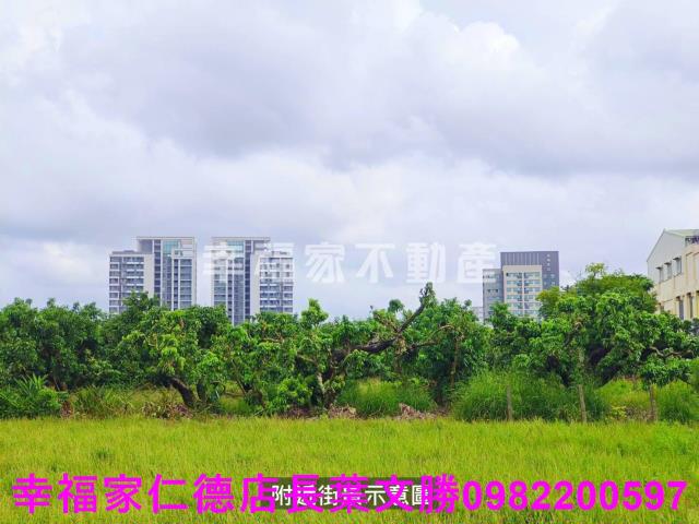 台南善化農地-10