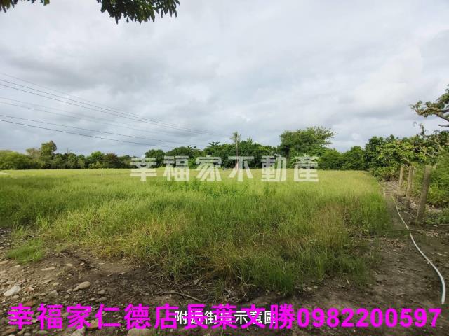 台南善化農地-11