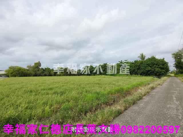 台南善化農地-0