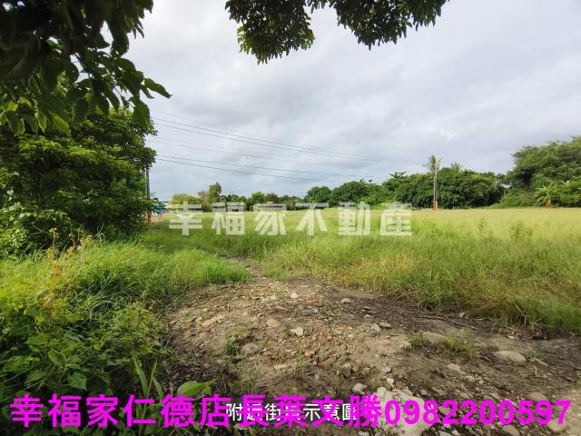 台南善化農地-1