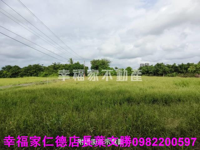 台南善化農地-2