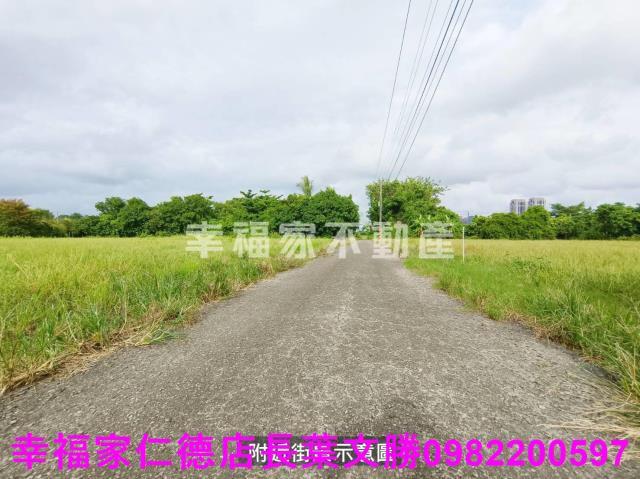 台南善化農地-8
