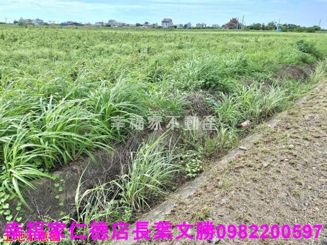 台南佳里農地-5
