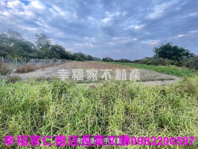台南新市農地-11