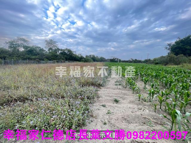 台南新市農地-13