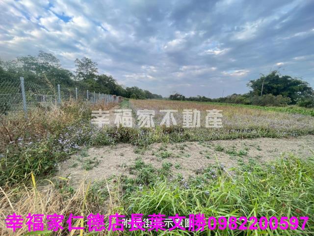 台南新市農地-1