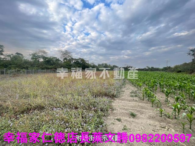 台南新市農地-5