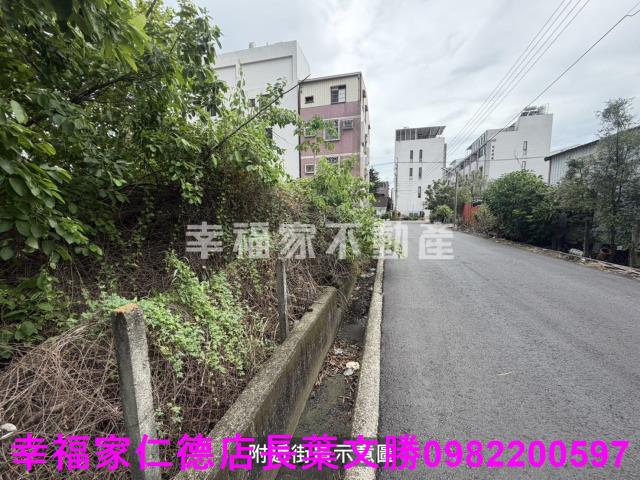 台南新市建地-6
