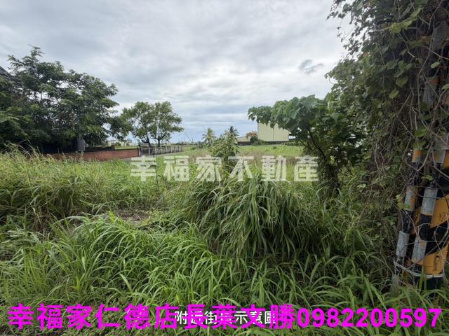 台南新市農地-5