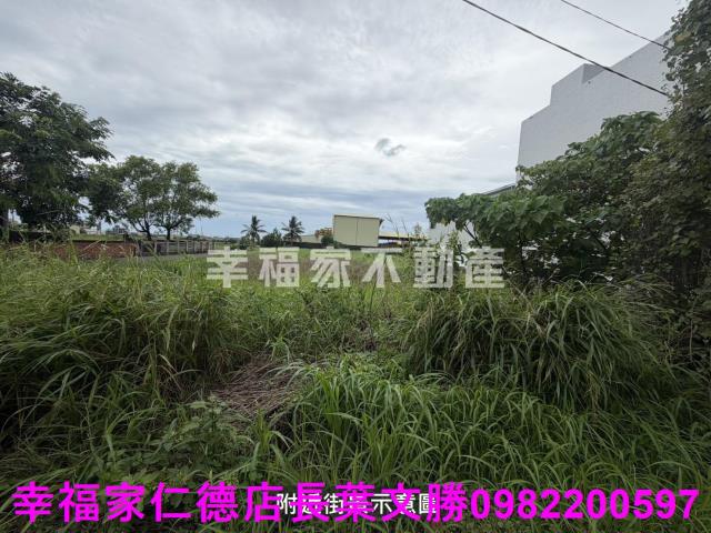 台南新市農地-6