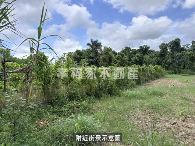 台南安定農地-10