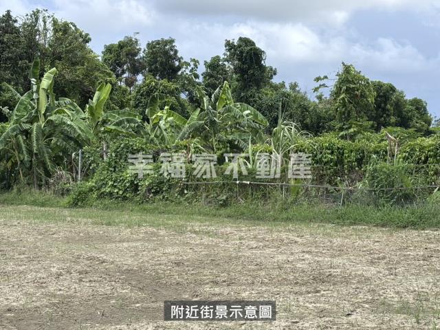 台南安定農地-11