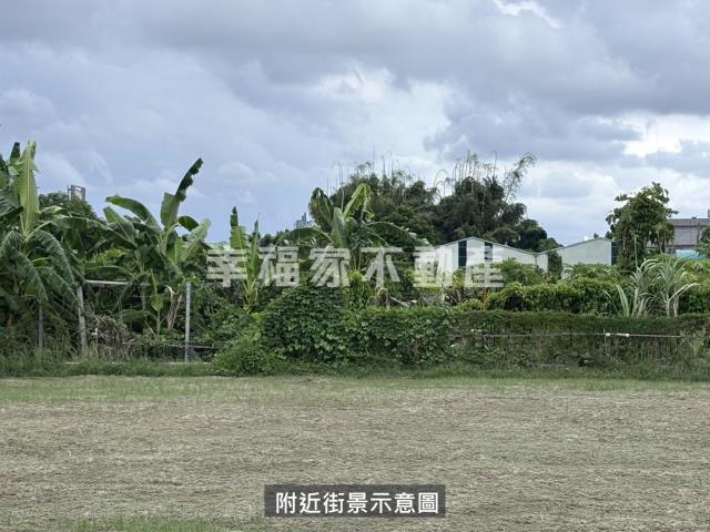 台南安定農地-14