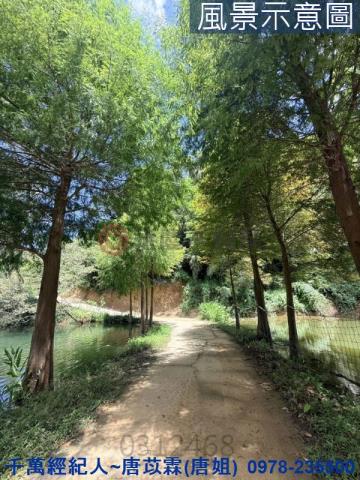 新竹寶山山坡地_休閒地-6