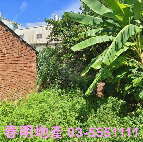 湖口建地-9